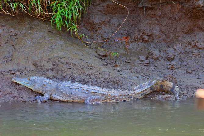 Palo Verde RiverRide From Guanacaste - Health and Safety Considerations