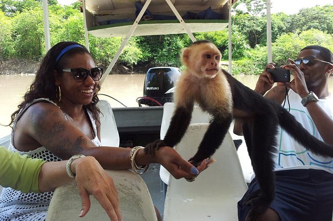 Palo Verde Wildlife Tour From Playa Hermosa-Coco Beach - Lunch Highlights