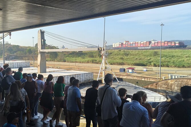 Panama Canal Tour: Miraflores Locks and Canal Zone - Guest Reviews and Host Response