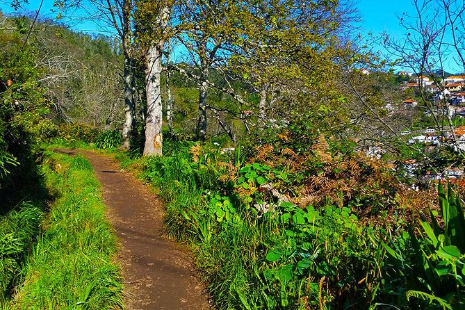 Paradise Valley - Levada Walk - Safety Considerations