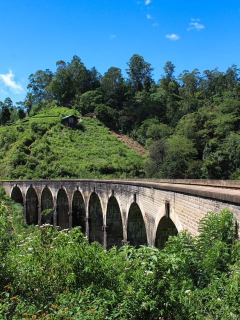 Pathways of Ella: Peaks and Arches Exploration - Tour Highlights