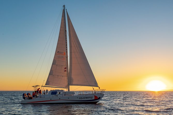 Pau Hana Sunset Cruise With the Whales - Customer Feedback Highlights