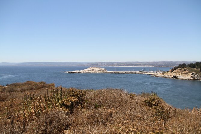 Penguins Poetry and Pinot Noir Tour in San Antonio Province - Indulging in Wine Tasting