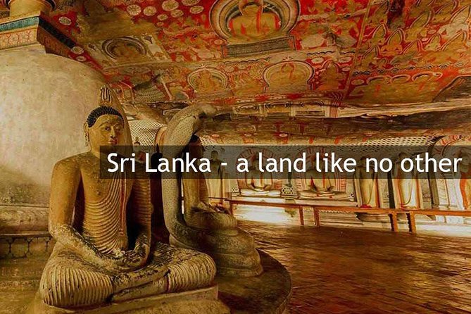 Personal Driver For Your Two Weeks Round Tour In Sri Lanka - Pricing Details and Options