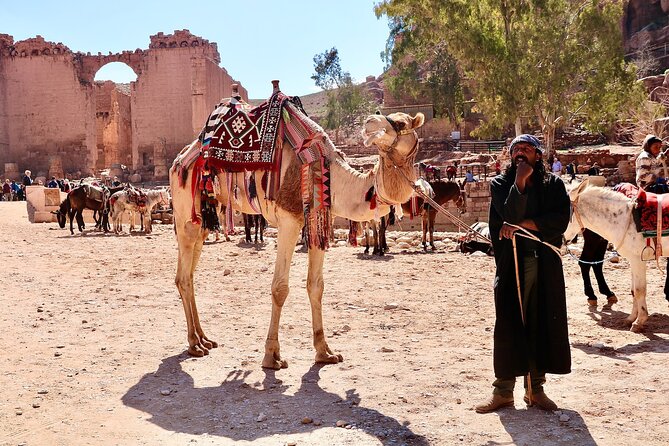 Petra 1-Day Tour From Tel Aviv With FREE Authentic Lunch - Lunch at a Local Restaurant