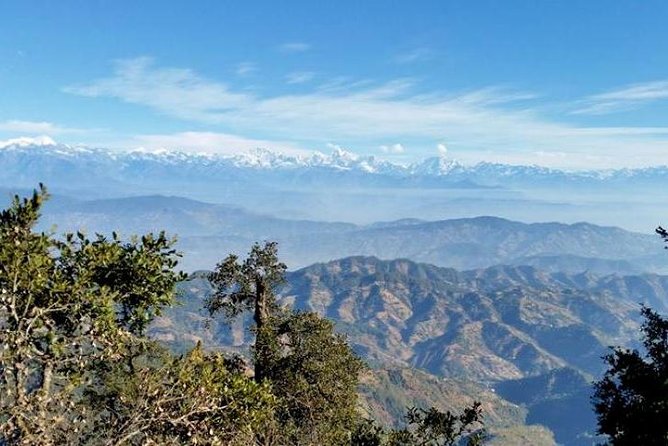 Phulchoki Bird-Watching Tour - Tips for Bird-Watching Enthusiasts