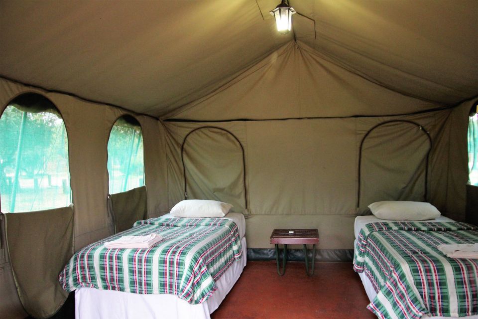 Pilanesberg: Two-Day Camping Adventure From Johannesburg - Customer Feedback and Reviews