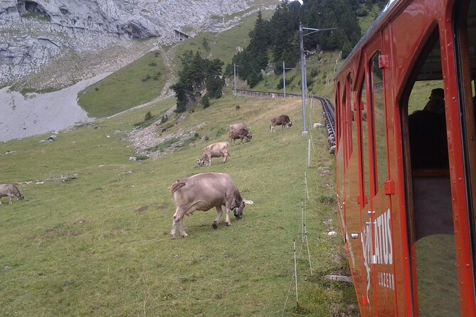 Pilatus Golden Roundtrip: Exclusive Small Group Tour From Basel - Customer Feedback