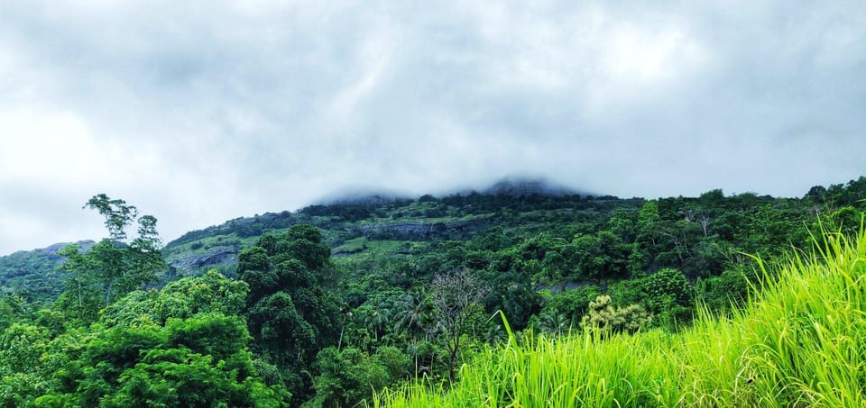 Pinnawala Rambukkana: Hidden Gem Tour - Explore Nature and Secrets