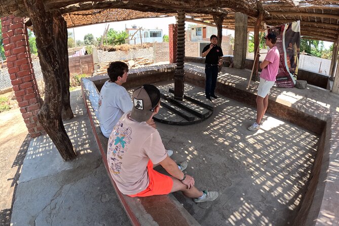 Pisco Route, Buggies and Sandboarding in the Ica Desert From Paracas - Exploring the Ica Desert