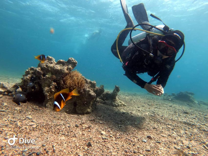 Pivate Scuba Diving in the Red Sea of Aqaba - Training for Beginners