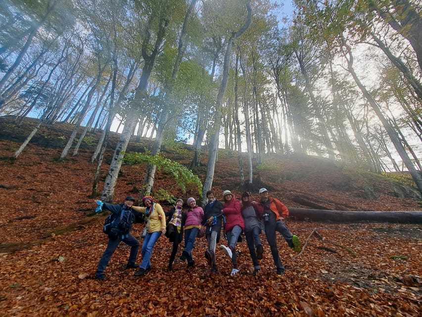 Plitvice Lakes Guiding With Transfer - Booking and Availability