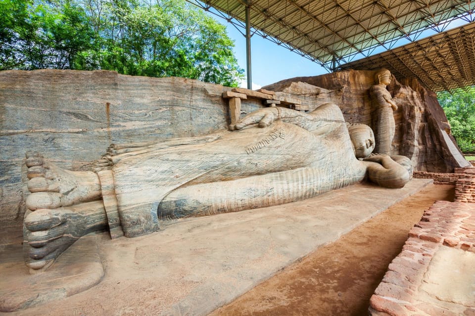 Polonnaruwa: All-Inclusive Day Tour From Negombo - Pickup Location and Duration