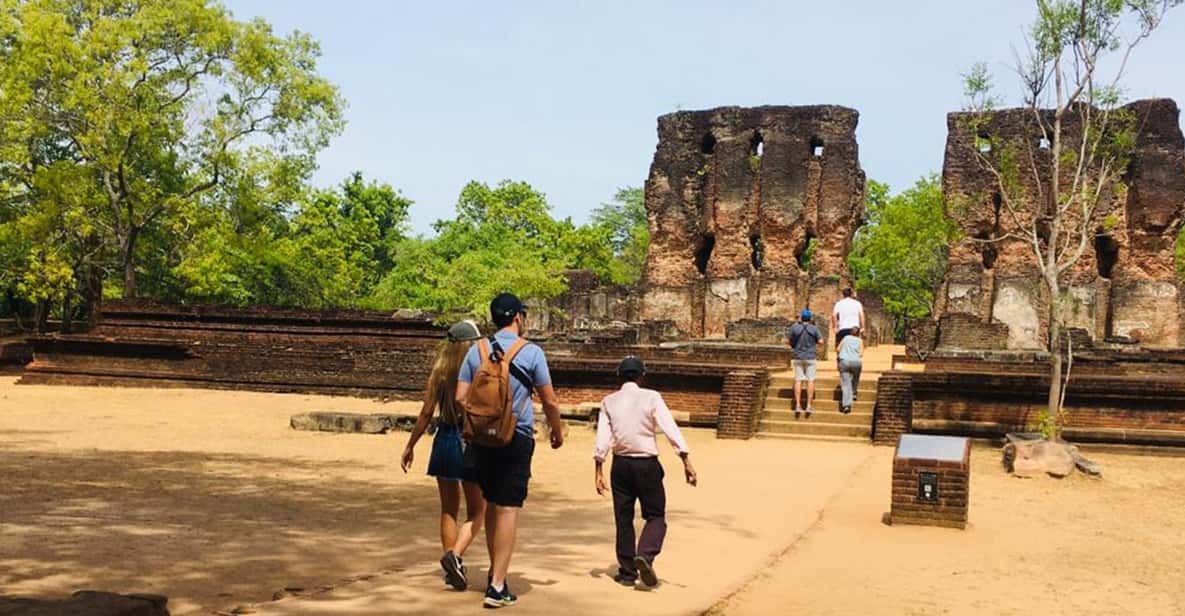 Polonnaruwa Sight Seeing Tour and Minneriya Elephant Safari - Customer Reviews and Ratings