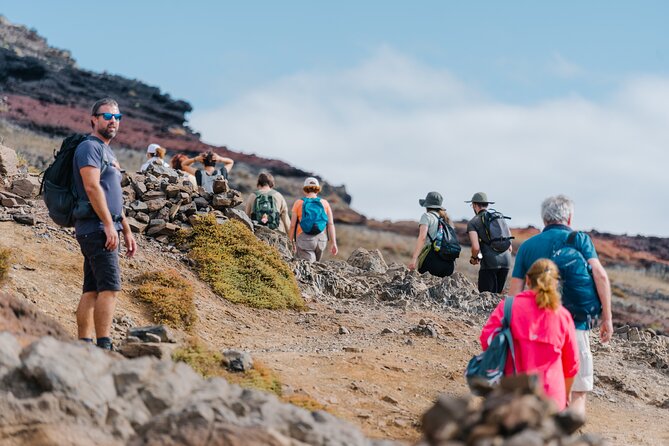 Ponta De São Lourenço (PR 8) - Hiking Tour in Madeira - Common Suggestions From Reviews