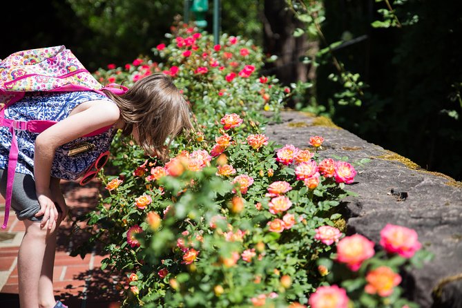 Portland Hop-On Hop-Off Pink Trolley Tour With Gray Line - 1 or 2 Day Pass - Tips for a Great Experience
