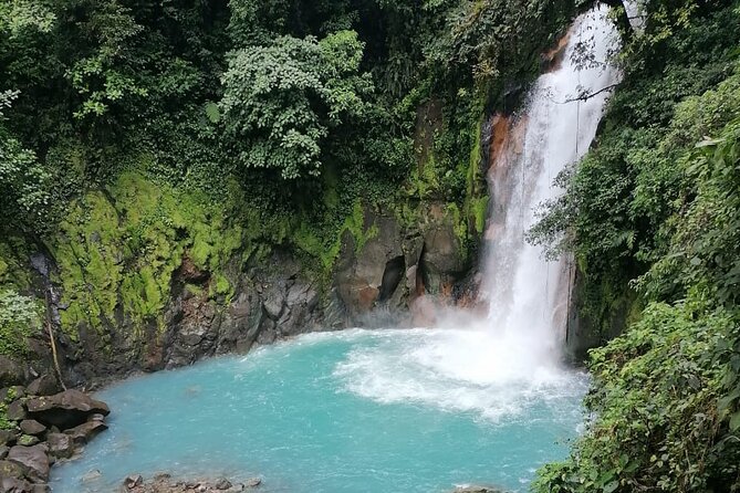 Premium Tour:Sloths and Río Celeste Y Cortez Waterfalls (Tenorio Volcano Park) - Booking Information