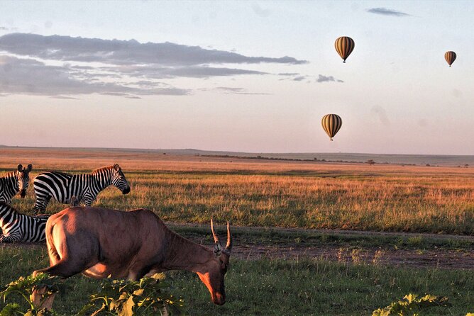 Private 4-Days Northern Circuit National Parks in Tanzania - Experienced Guides and Assistance