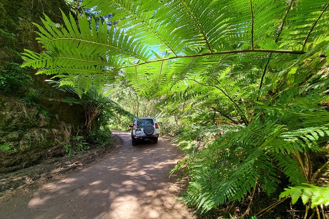 Private 4x4 Jeep Half Day - Picturesque Peaks, Vineyards, Skywalk - Personalized Tour Experience