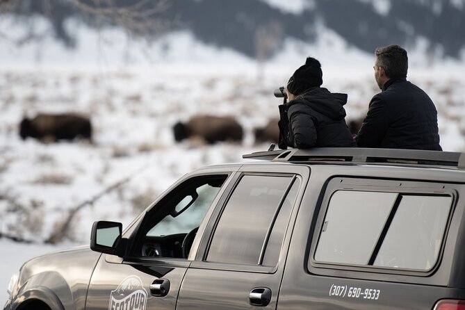 Private 8-Hour Grand Teton Adventure - Accessibility Information