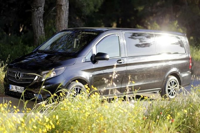 Private Airport Transfer From/To Dalaman Airport - Accessibility Features