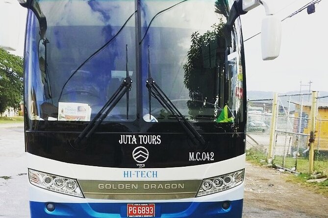 Private Airport Transfers To Negril Hotels and Villas - Accessibility and Participation