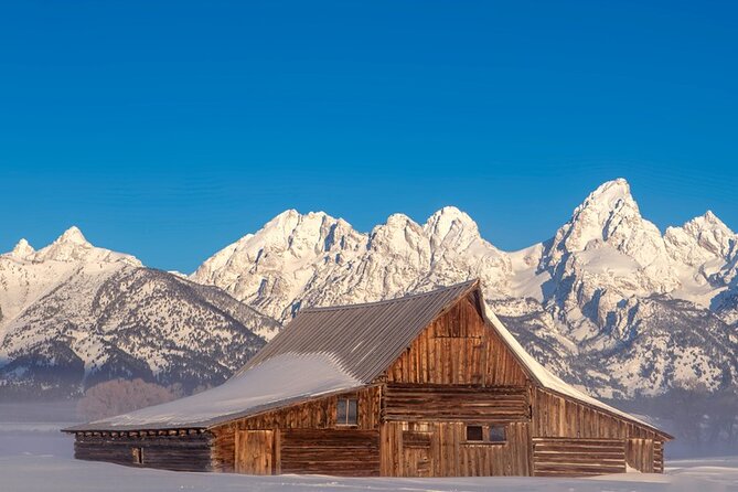 Private All-Day Winter Tour of Grand Teton National Park - Tour Highlights