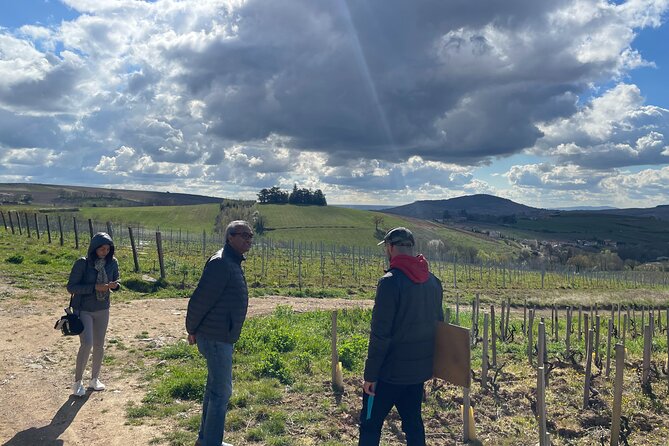 Private Beaujolais Wine Tour - Highlights From Customer Reviews