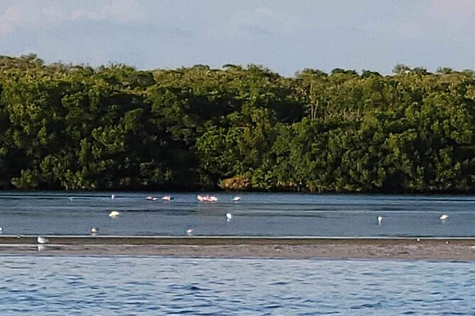 Private Boat Charter to Johns Pass, Shell Key and Egmont Key - Exploring Johns Pass