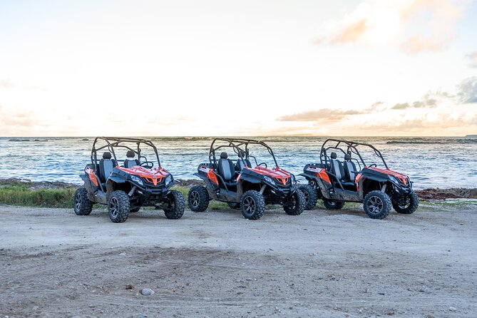 Private Buggy Excursion in Guadeloupe - Review Highlights