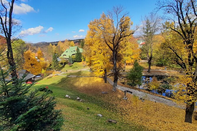 Private Day Tour in Transylvania, Peles and Bran Castles From Brasov - Meeting and Pickup Information
