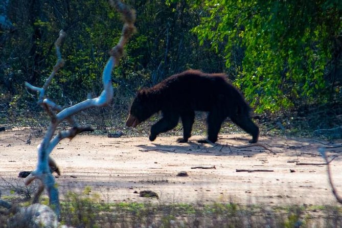 Private Day Tour: Yala National Park Safari Tour From Galle & Weligama - Booking Process