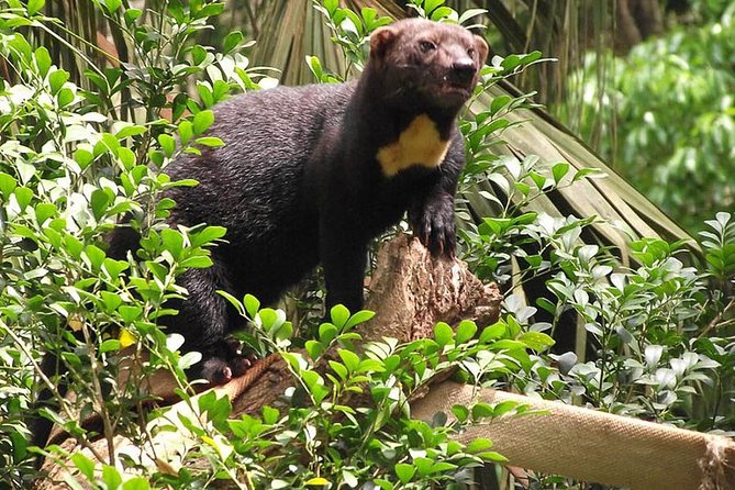 Private Day Trip From San Jose to Cahuita National Park (Caribbean Coast) - Booking and Cancellation Policy