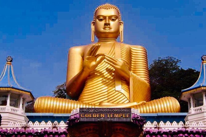 Private Day Trip To Minneriya Sigiriya and Dambulla From Kandy - Traveler Experiences and Reviews