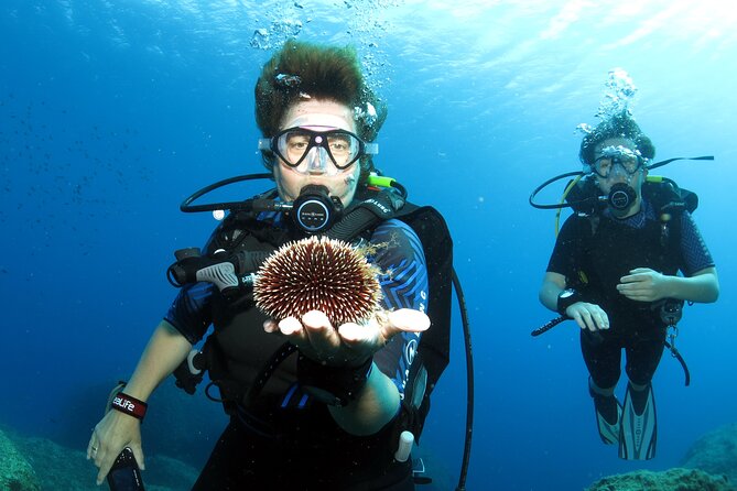 Private Discover Scuba Diving for Beginners in Athens With Pickup - Exploring Underwater Marine Life