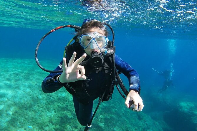 Private Diving Baptism in the Gulf of Calvi - Review Highlights and Ratings