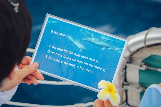 Private Dolphin Swim With Slide for up to 15 Passengers - Customer Feedback