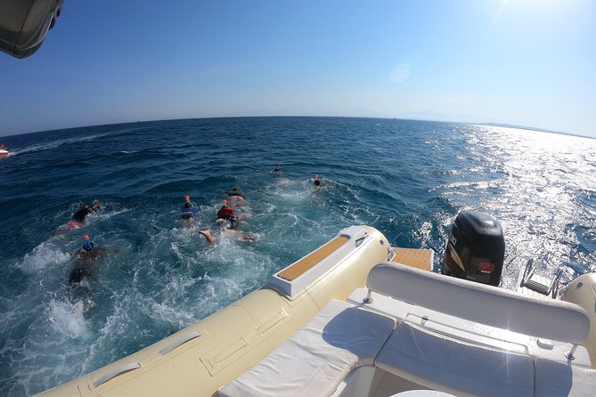 Private Dolphin Watching And Snorkeling Tour - Guest Reviews