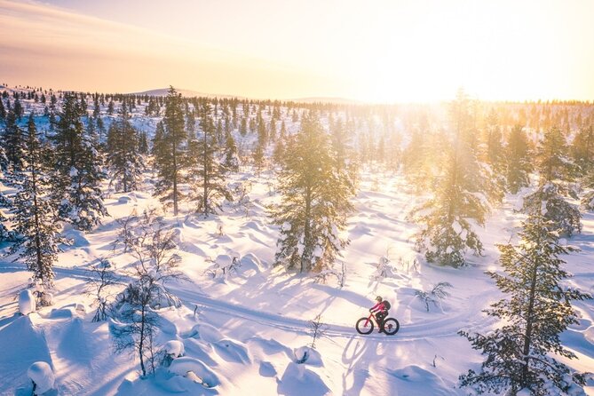 Private Electric Fat Bike Tour in Saariselkä - Local Insights Shared