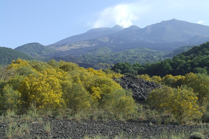 Private Etna Tour From Messina Cruise Terminal+ Lunch at Winery - Mount Etna Exploration