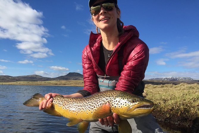 Private Fishing Tour From Reykjavik - Arctic Char and Brown Trout - Guided Experience