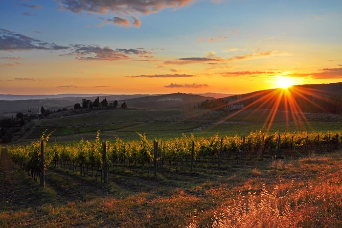 Private Florence and Chianti Wine Tour Review - Since You Asked