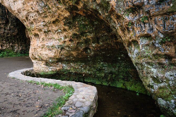 Private Full-Day Hiking Tour in Sigulda and Gauja National Park - Pricing and Group Options