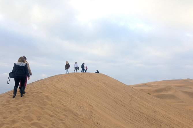 Private Full Day Tour to Concon, Vina Del Mar, and Valparaiso + 1 Activity - Coastal Bike Tour