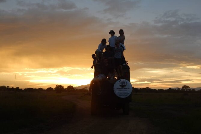 Private Full-Day Trip to Mikumi National Park From Dar Es Salaam - Wildlife Highlights