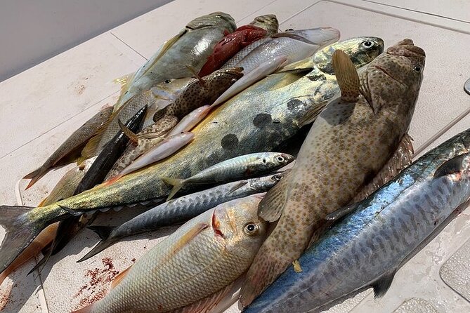Private Game Fishing Trip With Sightseeing in Muscat - Participation Requirements and Policies