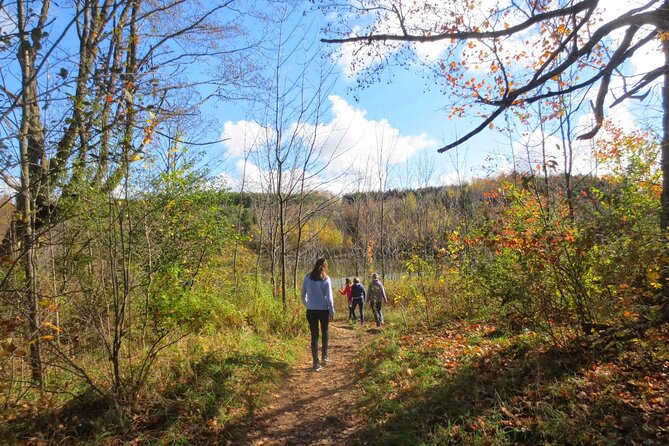 Private Greater Toronto Drivespa Tour With Lunch - Cultural Experiences