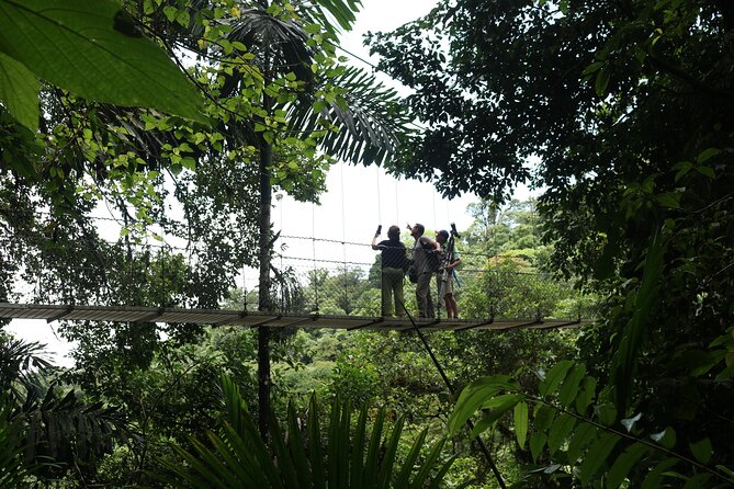 Private Guide Hanging Bridges, Fortuna Waterfall, Arenal Volcano - Pricing and Reviews