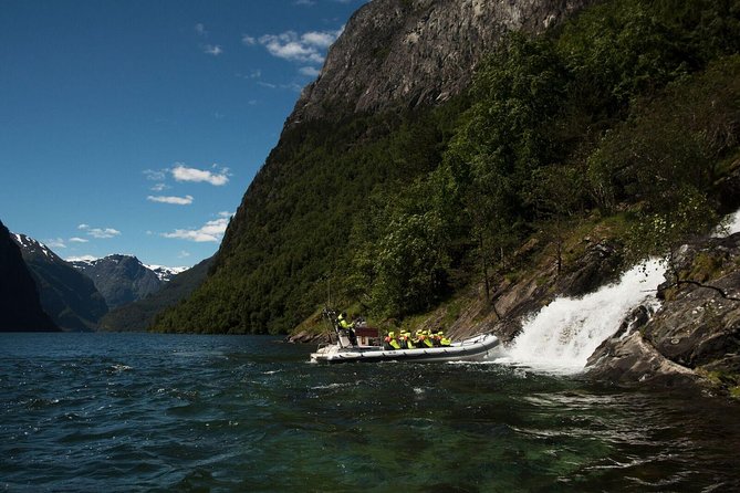 Private Guided Day Tour - RIB Nærøyfjord Safari & Flåm Railway - Exploring Norways Fjords