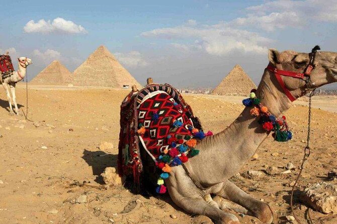 Private Guided Day Tour to Cairo From Hurghada by Private Coach - Customer Experiences